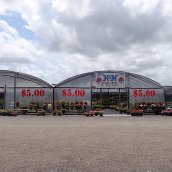 H & H Nursery, Inc. - Nurseries & Gardening Near Me - Bradenton, Florida H & H Nursery, Inc. - Nurseries & Gardening Near Me - Bradenton, Florida