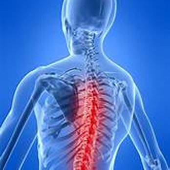 Phillips Chiropractic - Phillips Chiropractic, which was founded in 2002, is committed to providing high-quality chiropractic care at a very reasonab... - Chiropractors Near Me - Macon, Georgia
