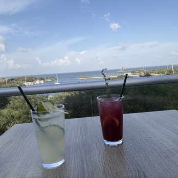 Birchwood Canopy - Bars Near Me - St. Petersburg, Florida