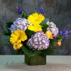 McKenzie Floral - Brighten up someone's day!