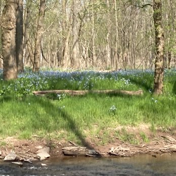 Bull Run Regional Park - Parks Near Me - Centreville, Virginia Bull Run Regional Park - Parks Near Me - Centreville, Virginia
