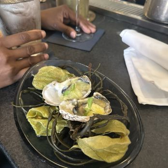 Marta Fine Food and Spirits - Oysters - Italian Near Me - Baltimore, Maryland Marta Fine Food and Spirits - Oysters - Italian Near Me - Baltimore, Maryland