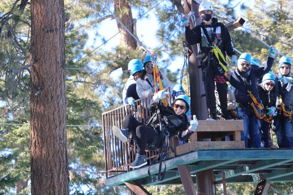 Action Zipline Tours by null