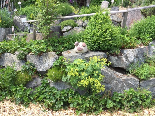 Burghotel Bären by null