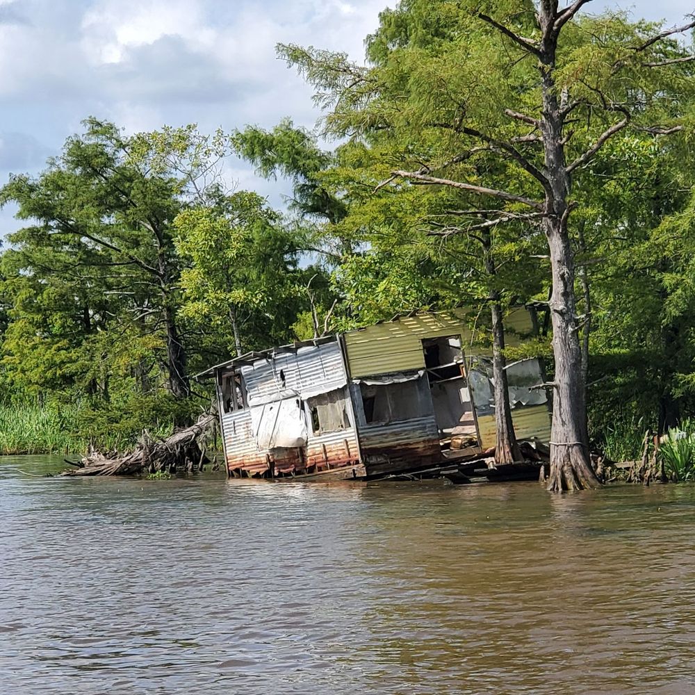 Swamp & River Tours - Boat Tours Near Me - Orange, Texas Swamp & River Tours - Boat Tours Near Me - Orange, Texas