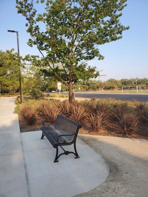 Roosevelt Park by null