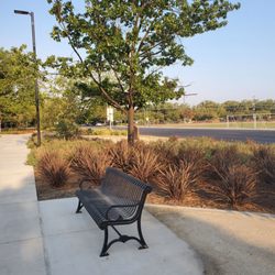 Roosevelt Park - Park bench and shade trees