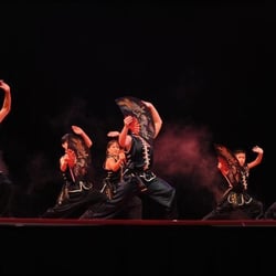 Tat Wong Kung Fu Academy - Group fan form