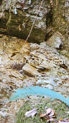 Anthony Chabot Regional Park by null