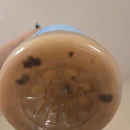 Mold Mold