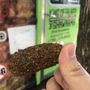 King Of Falafel And Shawarma - Food Truck