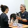Felix&Fido Veterinary Care - Issaquah