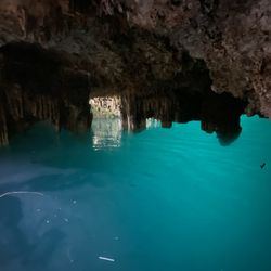 Cenote 7 Bocas