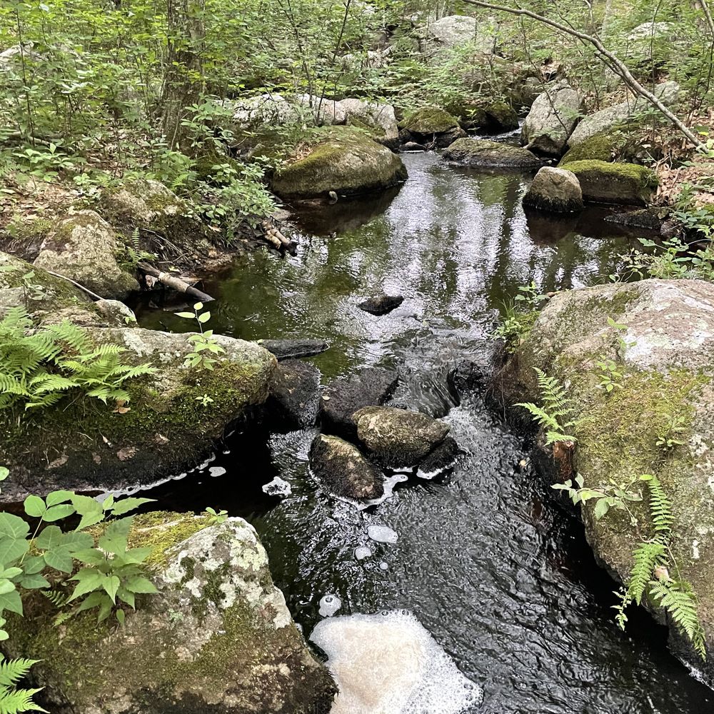 Big River Management Area - A tranquil brook - Hiking Near Me - West Greenwich, Rhode Island Big River Management Area - A tranquil brook - Hiking Near Me - West Greenwich, Rhode Island
