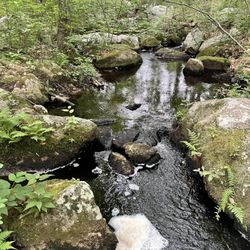 Big River Management Area - A tranquil brook