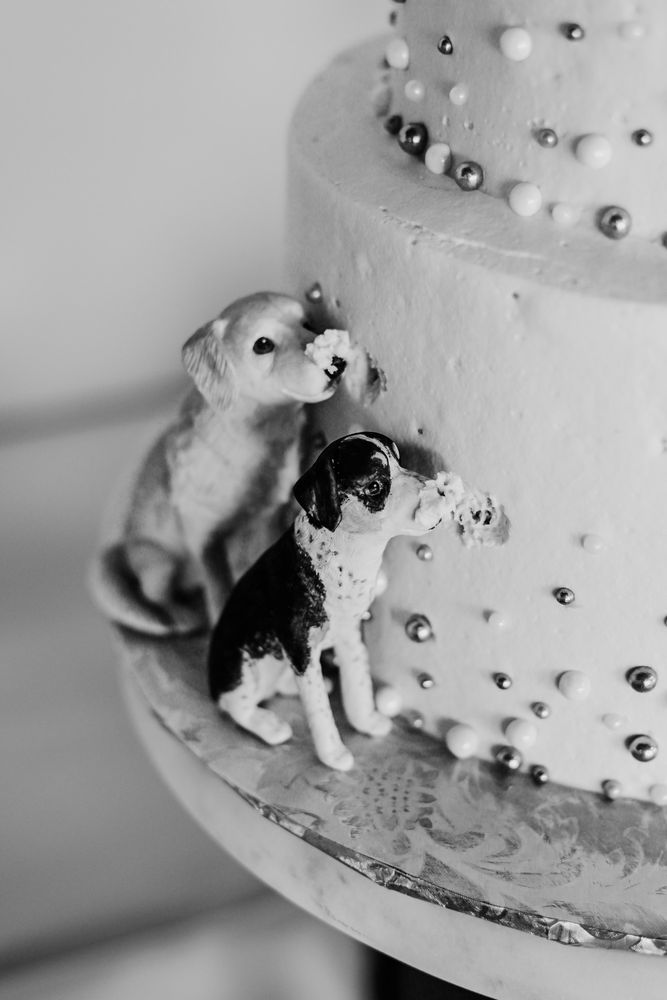 DREAMSCAPE DESSERTS Updated August 2024 245 Photos & 15 Reviews