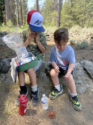 Tallac Historic Site by null