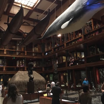 Bishop Museum - Museums Near Me - Honolulu, Hawaii
