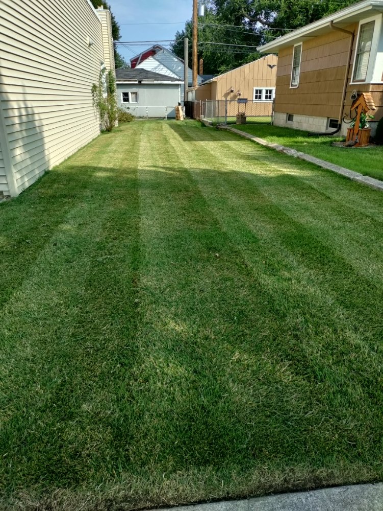 Slide of Sunflower Lawn Care & Home Improvement