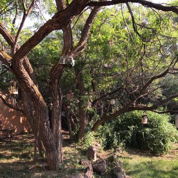Old Taos Guesthouse - Loved the tree with all of the birdhouses! - Hotels Near Me - Taos, New Mexico Old Taos Guesthouse - Loved the tree with all of the birdhouses! - Hotels Near Me - Taos, New Mexico