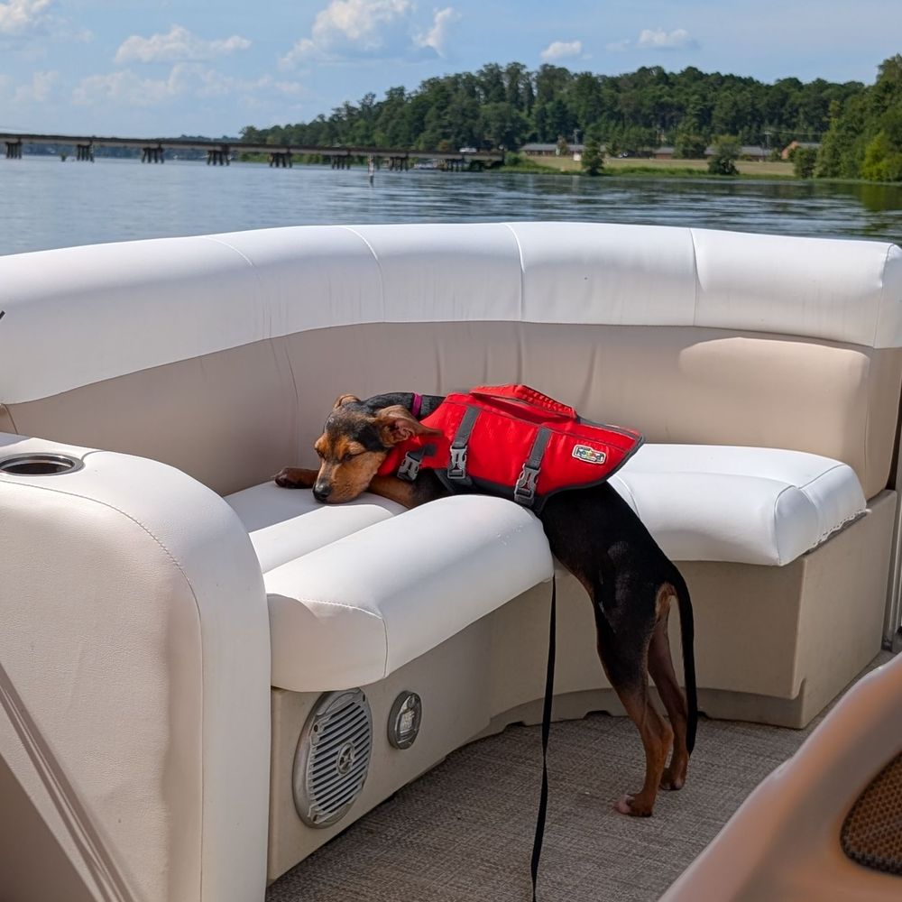 その他 moom THE BEST 10 BOATING near BERNICE, LA 71222 - Updated 2025 - Hours