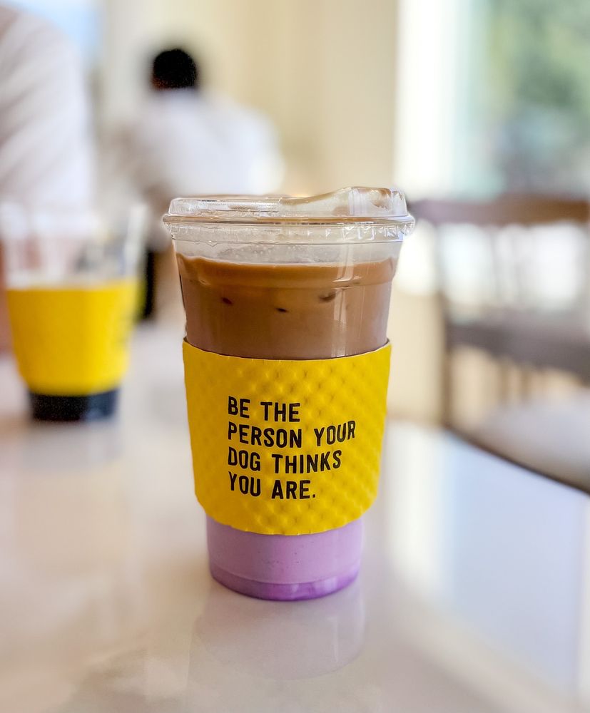 La La Land Kind Cafe