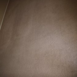 W L Jones Carpet Cleaner