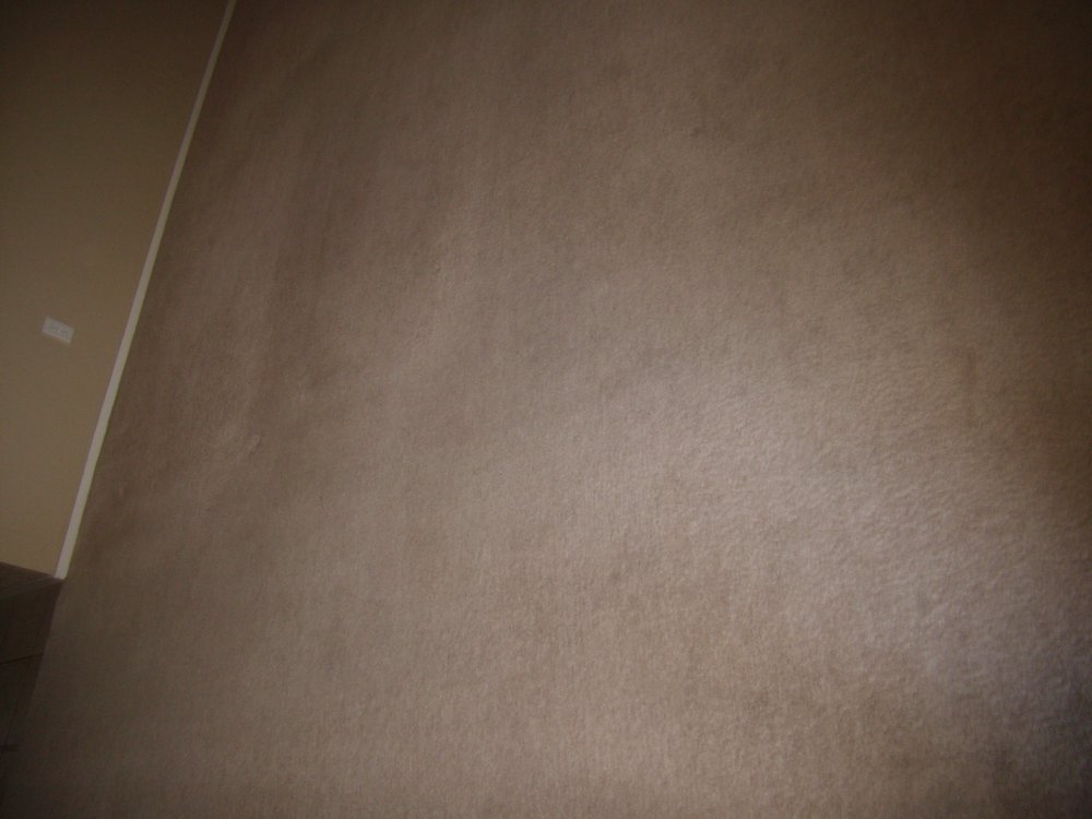 W L JONES CARPET CLEANER Updated September 2024 28 Photos Lemoore