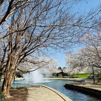 Big Spring Park - Spring Cherry Blossoms 3/23/25 - Parks Near Me - Huntsville, Alabama Big Spring Park - Spring Cherry Blossoms 3/23/25 - Parks Near Me - Huntsville, Alabama