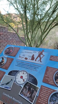 Echo Canyon Trailhead by null