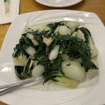 Ting Wong Restaurant - Bok Choy with Garlic - Noodles Near Me - Philadelphia, Pennsylvania Ting Wong Restaurant - Bok Choy with Garlic - Noodles Near Me - Philadelphia, Pennsylvania