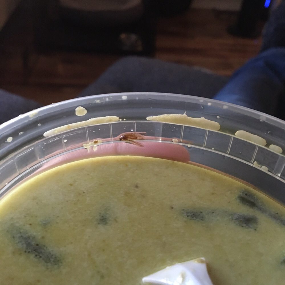 Green curry with a bug. Green curry with a bug.