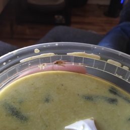 Green curry with a bug.