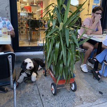 Palenque Colombian Food - Dog friendly outdoor seating - Colombian Near Me - Brooklyn, New York Palenque Colombian Food - Dog friendly outdoor seating - Colombian Near Me - Brooklyn, New York