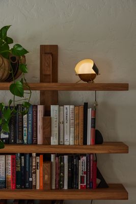 Two Enlighten by null