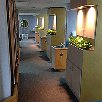Harrison Dental - Harrison Dental - 225 S Harrison St. Shelbyville, IN 46176 317-398-0066 - General Dentistry Near Me - Shelbyville, Indiana Harrison Dental - Harrison Dental - 225 S Harrison St. Shelbyville, IN 46176 317-398-0066 - General Dentistry Near Me - Shelbyville, Indiana