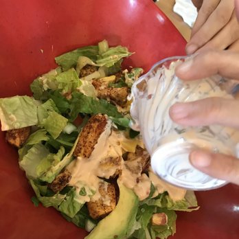 Toasted Mango Cafe - Grilled chicken - Cafes Near Me - Sarasota, Florida Toasted Mango Cafe - Grilled chicken - Cafes Near Me - Sarasota, Florida