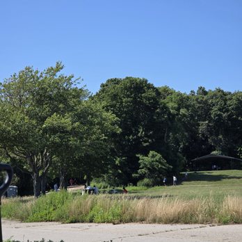 Rocky Point State Park - Overgrown public area - Parks Near Me - Warwick, Rhode Island