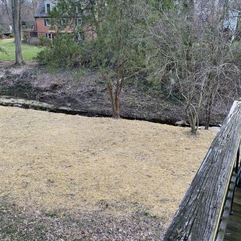 Landscape and Drainage Services - End results - Landscaping Near Me - Vienna, Virginia Landscape and Drainage Services - End results - Landscaping Near Me - Vienna, Virginia