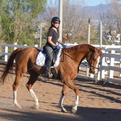Amazing Grace Stables