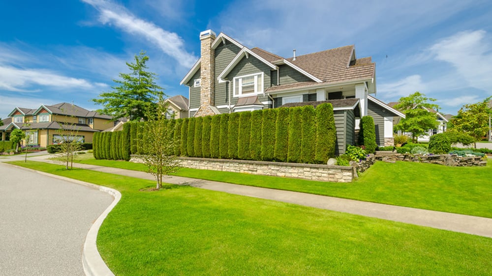 LOS ALAMOS LANDSCAPING & MORE Updated August 2024 2470 East Rd, Los