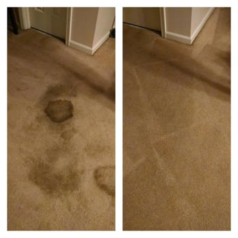 Kwik Dry Floor to Ceiling Cleaning & Restoration - Finished the day saving carpet in Stapleton. Needless to say another HAPPY customer! - Carpet Cleaning Near Me - Gulf Shores, Alabama Kwik Dry Floor to Ceiling Cleaning & Restoration - Finished the day saving carpet in Stapleton. Needless to say another HAPPY customer! - Carpet Cleaning Near Me - Gulf Shores, Alabama
