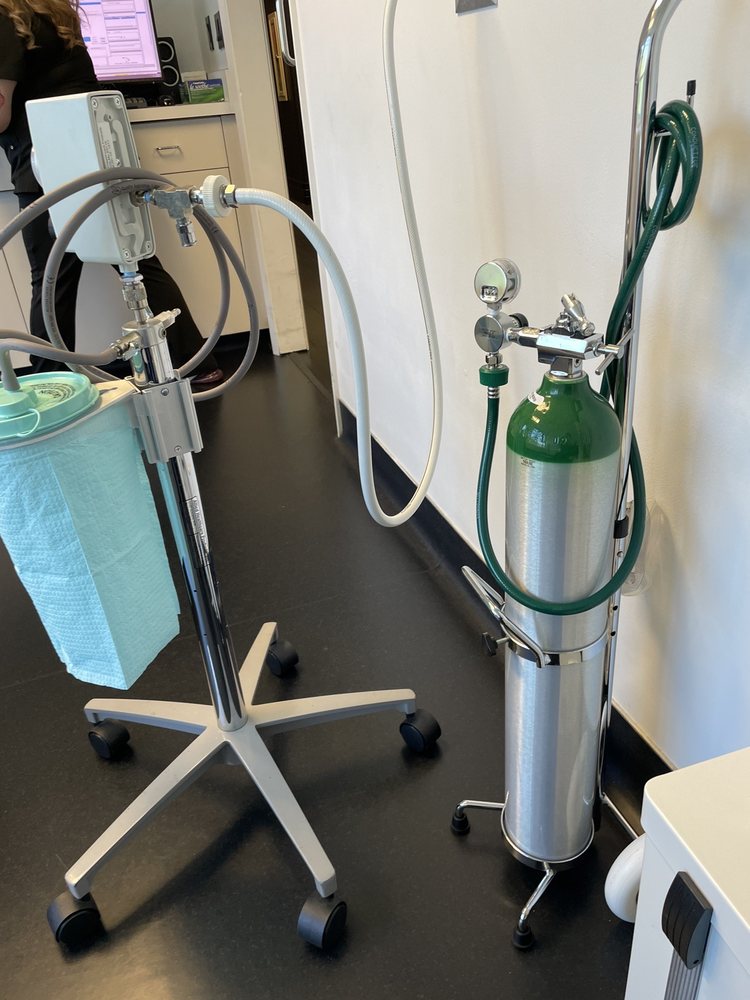 ORAL & FACIAL SPECIALISTS Updated October 2024 40 Photos & 41