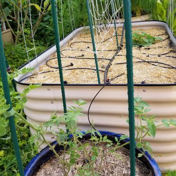 Conserva Irrigation - Fort Lauderdale - We set up drip irrigation from the plumbing Justin installed - Irrigation Near Me - Sunrise, Florida Conserva Irrigation - Fort Lauderdale - We set up drip irrigation from the plumbing Justin installed - Irrigation Near Me - Sunrise, Florida
