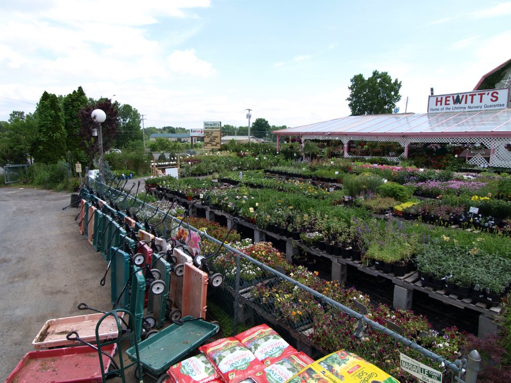 HEWITT’S GARDEN CENTERS CLIFTON PARK Updated June 2024 29 Photos