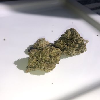 Mt Shasta Patients Collective - With flash on - Cannabis Clinics Near Me - Mount Shasta, California Mt Shasta Patients Collective - With flash on - Cannabis Clinics Near Me - Mount Shasta, California