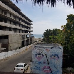 Spirulina - Peek a seaview