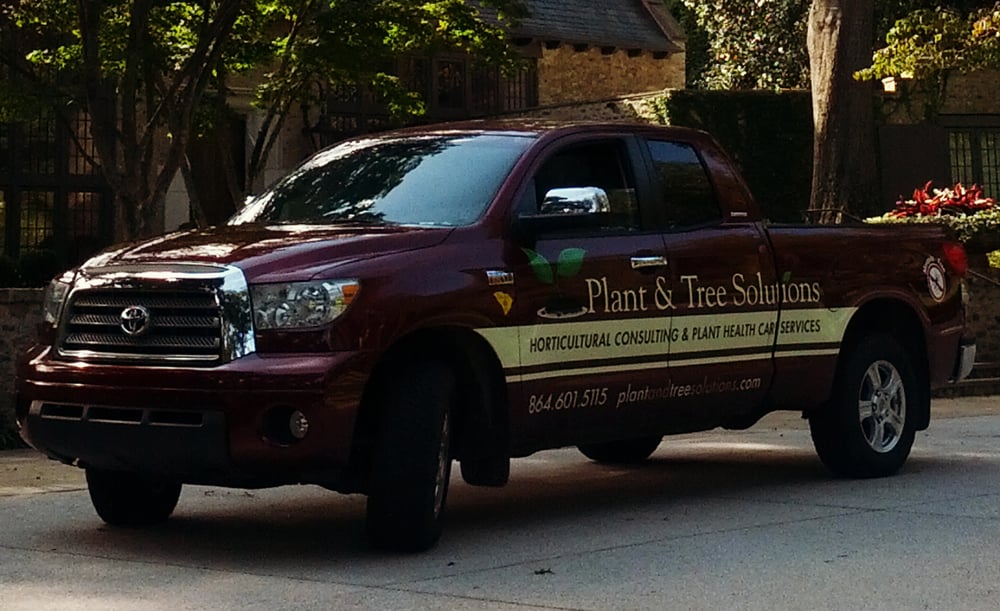Plant and Tree Solutions - tree service in Greenville, SC
