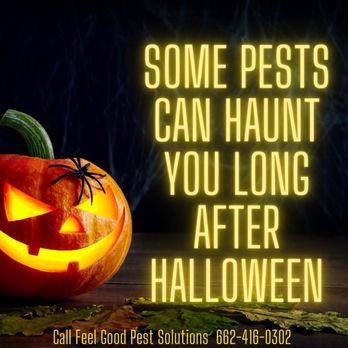 Feel Good Pest Solutions - Pest Control Near Me - Starkville, Mississippi Feel Good Pest Solutions - Pest Control Near Me - Starkville, Mississippi