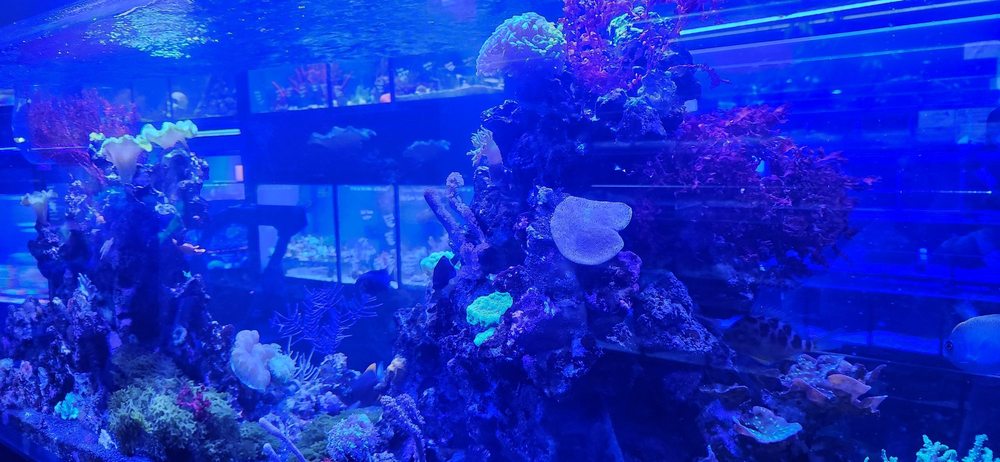 Aquarium Center Image